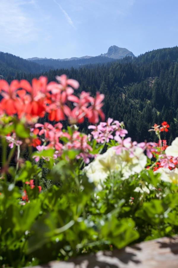 Alpenspitz Appartements - Garni - B&B Рачинес Екстер'єр фото